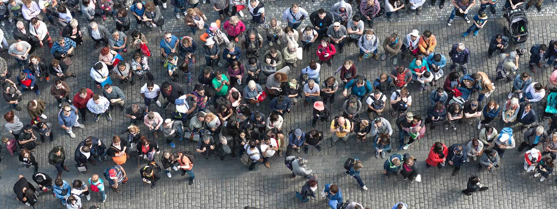 Hero expertise 1 shutterstock 2481053923