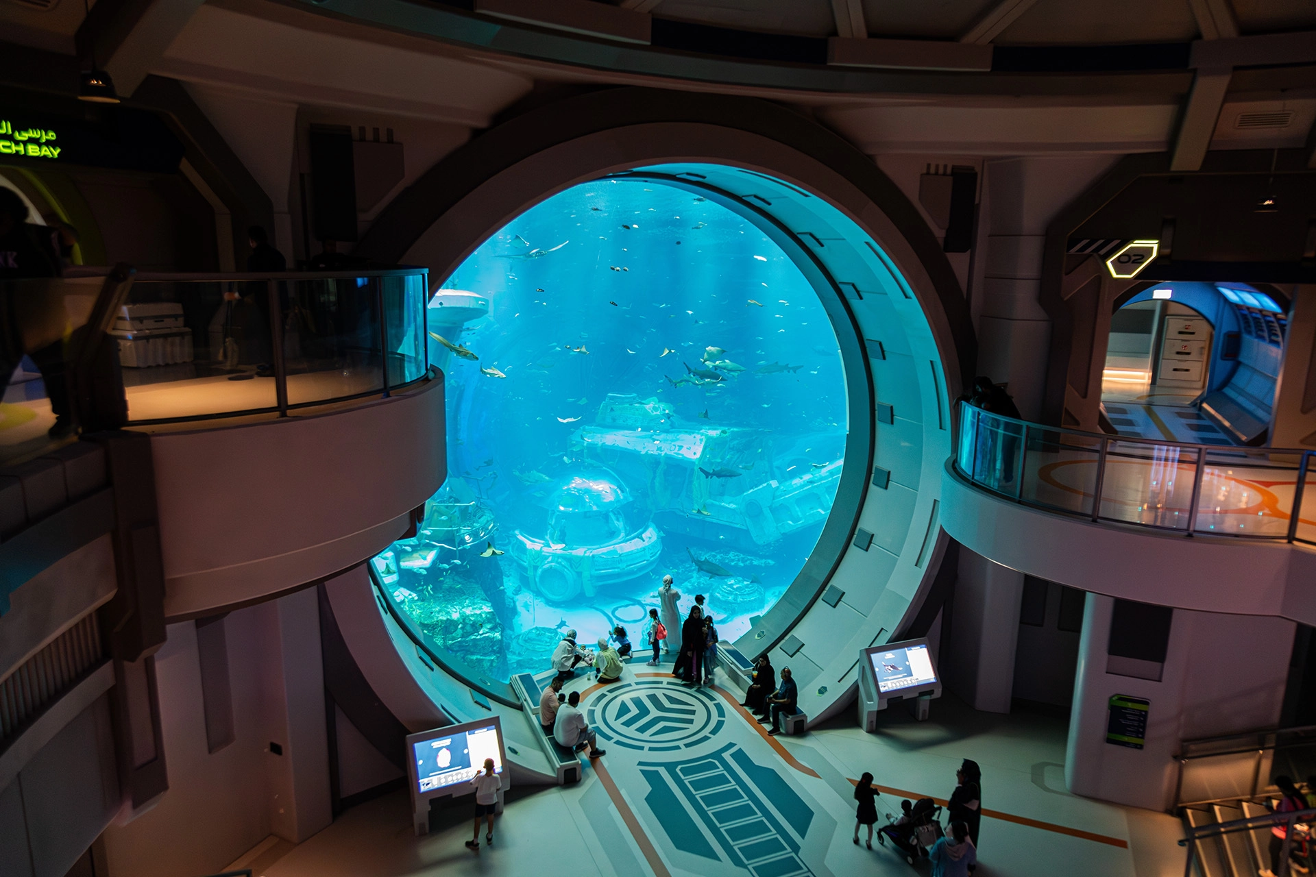 Sea World Abu Dhabi 1 Design Confidence