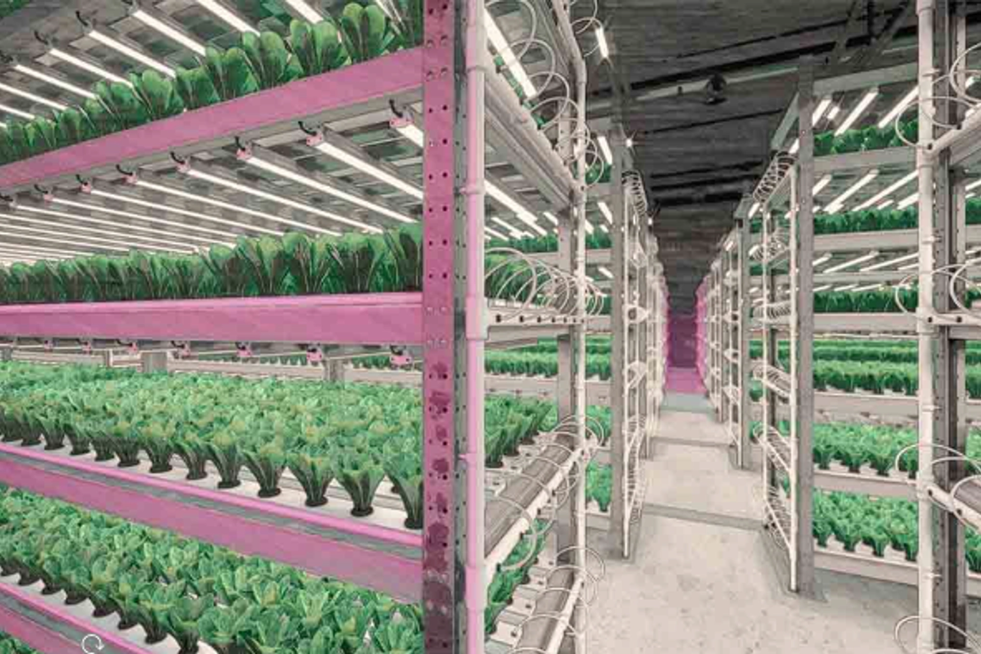 VERTICAL FARMING
